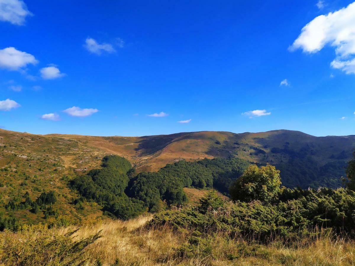 Eko Katun Damjanovic - Bjelasica Mojkovac Exterior foto